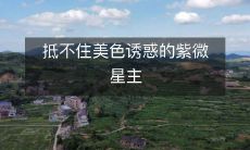 抵不住美色诱惑的紫微星主