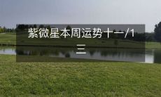 紫微星本周运势十一/1三
