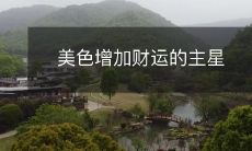 美色增加财运的主星