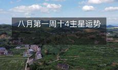 八月第一周十4主星运势