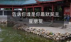 告诉你谁是你最默契主星朋友