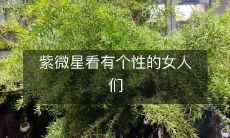 紫微星看有个性的女人们