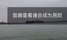 紫微星看谁会成为房奴