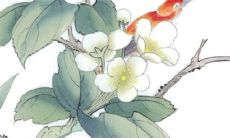 2022年10月25日开张好吗 今日营业怎么样