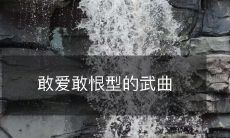 敢爱敢恨型的武曲