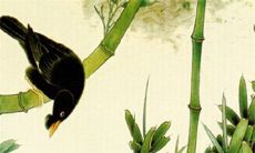 2022年10月13日店铺开业吉利吗 是开张良机吗