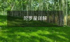 陀罗星详解