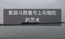 紫微斗数看与上司相处的艺术