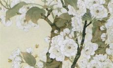 2022年10月23日霜降开张好么 商铺营业吉利吗