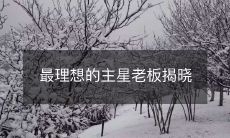 最理想的主星老板揭晓