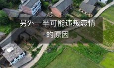 另外一半可能违叛恋情的原因