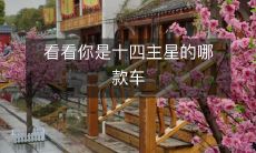 看看你是十四主星的哪款车