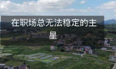 在职场总无法稳定的主星