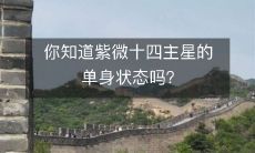 你知道紫微十四主星的单身状态吗？