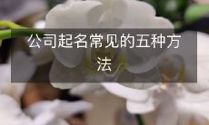 公司起名常见的五种方法