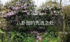 八卦图的先进之处