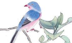 2022年12月25日圣诞节装修房子可以吗 是装修吉日吗