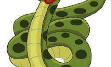 属蛇男2021年事业财运与健康运如何