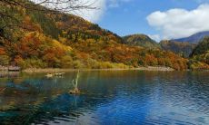 就喜欢与众不同独树一帜的四大星座