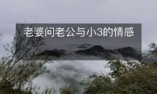 老婆问老公与小3的情感