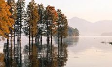 梦见开车刹不住车是什么预兆