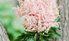 2023兔年公历2月宜订婚提亲良机 宜订婚吉日查询