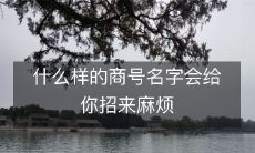 什么样的商号名字会给你招来麻烦