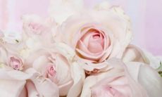 2023癸卯年2月最佳订婚黄道吉日 本月黄道吉日一览表