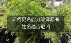 如何更名能力破译原有姓名趋吉避凶