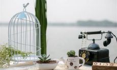 2023虎年农历一月嫁娶黄道日子分析 好日子一览表