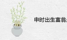 申时出生富翁是真的吗 是上等富贵八字吗