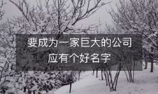 要成为一家巨大的公司应有个好名字