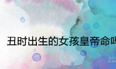 丑时出生的女孩皇帝命吗 命中有财运吗