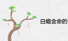 白蜡金命的一生怎样 属于几等命