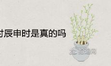 好命女出生时辰申时是真的吗 是上等命格出生时间吗