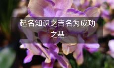 起名知识之吉名为成功之基