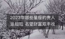 2023年哪些星座的贵人运超旺 名望财富双丰收