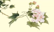 2022年农历四月结婚吉日一览表 结婚吉利日