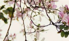 2023年1月9日适不适合装修房子 可以装修房屋吗