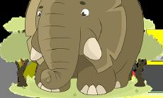 风水吉祥物怎么化解流年煞气