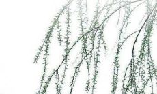 2023年1月3日装修房子可以吗 是装修吉日吗