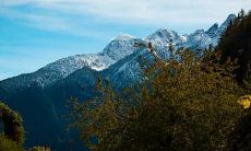 2021年12月姻缘桃花运最好的四大星座