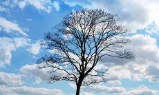 农村厨房有什么讲究 农村厨房风水注意事项