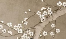 老黄历查询 2022年10月4日重阳节开张好吗