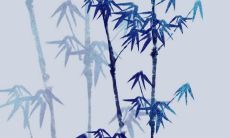 2023年正月初二吃什么菜 吃开年饭 吃面条