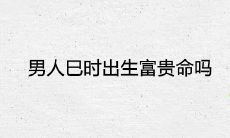 男人巳时出生富贵命吗 一生命运怎么样