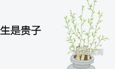 农历几日出生是贵子 有福气会赚钱的出生日子