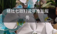精批七政打流年推运服务