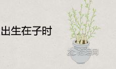 为什么很少人出生在子时 是苦命还是富贵命