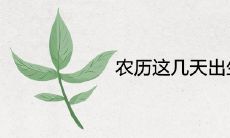 农历这几天出生的人越混越好大富大贵